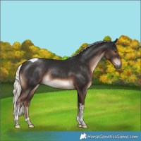 Horse Color:Liver Chestnut Mushroom Tobiano Rabicano