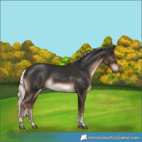 Horse Color:Liver Chestnut Mushroom Sabino Tobiano Rabicano