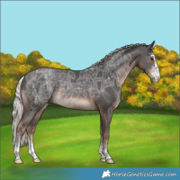 Horse Color:Liver Chestnut Ice Mushroom Sabino Rabicano 