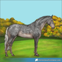 Horse Color:Liver Chestnut Ice Mushroom Rabicano 