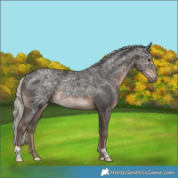 Horse Color:Liver Chestnut Ice Mushroom Rabicano 