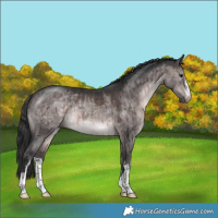 Horse Color:Platinum White Spotted Brown Dun Brindle 