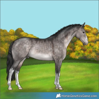Horse Color:Platinum White Spotted Brown Dun 