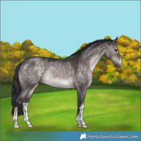 Horse Color:Platinum White Spotted Brown Dun 