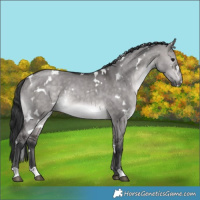 Horse Color:Platinum White Spotted Brown Dun Rabicano 