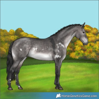 Horse Color:Platinum White Spotted Brown Dun 
