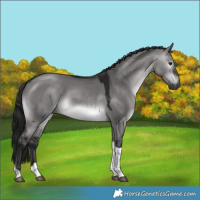 Horse Color:Gray Platinum Brown Dun Tobiano Rabicano 