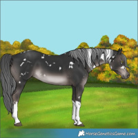 Horse Color:Platinum White Spotted Liver Chestnut Mushroom Tobiano