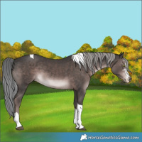 Horse Color:Platinum Liver Chestnut Mushroom Sabino Tobiano 