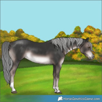Horse Color:Platinum Liver Chestnut Mushroom Tobiano 
