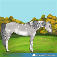 Horse Color:Platinum White Spotted Liver Red Dun Mushroom Tobiano Rabicano 
