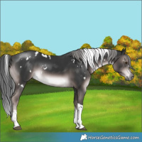 Horse Color:Platinum White Spotted Liver Chestnut Mushroom Tobiano Rabicano 