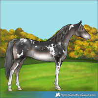 Horse Color:Platinum White Spotted Liver Chestnut Mushroom Tobiano 