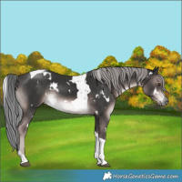 Horse Color:Platinum White Spotted Liver Chestnut Mushroom Tobiano Rabicano 