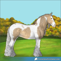 Horse Color:Silver Buckskin Dun Splash Tobiano 