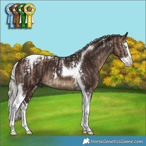 Horse Color:Silver Brown Dun Splash Tobiano  and Gray Silver Black Splash Tobiano 