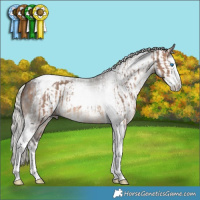 Horse Color:Silver Brown Dun Splash Tobiano  and Gray Silver Black Splash Tobiano 