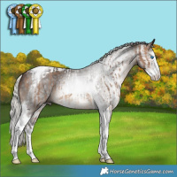 Horse Color:Silver Brown Dun Splash Tobiano  and Gray Silver Black Splash Tobiano 