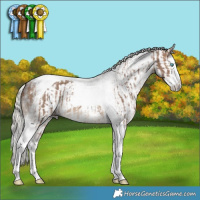 Horse Color:Silver Brown Dun Splash Tobiano and Gray Silver Black Splash Tobiano