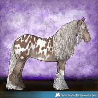 Horse Color:Silver Black Tobiano Near Leopard 