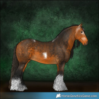 Horse Color:Gray Buckskin Tobiano 