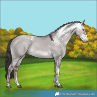 Horse Color:Platinum White Spotted Liver Red Dun Tobiano Rabicano 