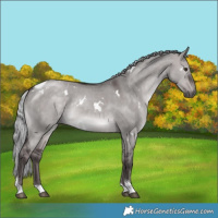 Horse Color:Platinum White Spotted Silver Brown Dun Tobiano 