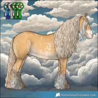 Horse Color:White Spotted Gold Cream Champagne Dun Sabino Brindle  and White Spotted Gold Cream Champagne Dun Sabino 
