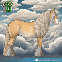 Horse Color:White Spotted Gold Cream Champagne Dun Sabino Brindle  and White Spotted Gold Cream Champagne Dun Sabino 