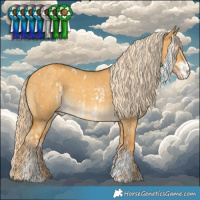 Horse Color:White Spotted Gold Cream Champagne Dun Sabino Brindle  and White Spotted Gold Cream Champagne Dun Sabino 
