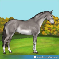 Horse Color:Platinum Liver Red Dun Tobiano Rabicano 