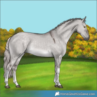 Horse Color:Platinum White Spotted Chocolate Palomino Dun Tobiano Rabicano