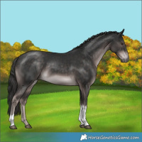 Horse Color:Platinum Liver Chestnut Tobiano Rabicano