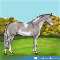 Horse Color:Platinum Chocolate Palomino Dun Tobiano 