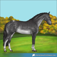 Horse Color:Platinum White Spotted Buckskin Tobiano 