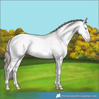 Horse Color:Platinum White Spotted Buckskin Pearl Dun