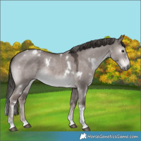 Horse Color:Platinum White Spotted Liver Red Dun Tobiano 