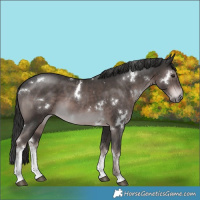 Horse Color:Platinum White Spotted Liver Chestnut 
