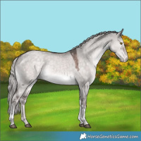 Horse Color:Platinum Chocolate Palomino Dun Tobiano Varnish Rabicano 