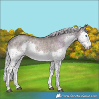 Horse Color:Platinum Chocolate Palomino Splash 