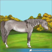 Horse Color:Platinum Liver Red Dun 