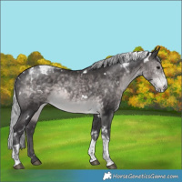 Horse Color:Platinum White Spotted Silver Buckskin Tobiano 