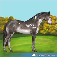 Horse Color:Platinum White Spotted Liver Chestnut 