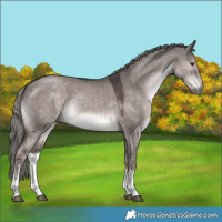 Horse Color:Platinum White Spotted Liver Red Dun 