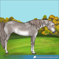 Horse Color:Gray Platinum Liver Red Dun Tobiano 