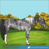 Horse Color:Platinum White Spotted Brown Ice Dun Tobiano