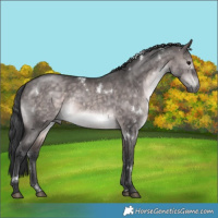 Horse Color:Platinum White Spotted Brown Dun 