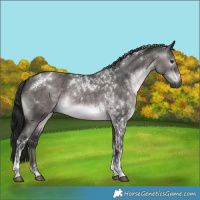 Horse Color:Gray Platinum Brown Dun Tobiano 