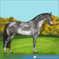 Horse Color:Gray Platinum Brown Dun Tobiano 