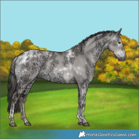 Horse Color:Gray Platinum Liver Red Dun Ice Tobiano